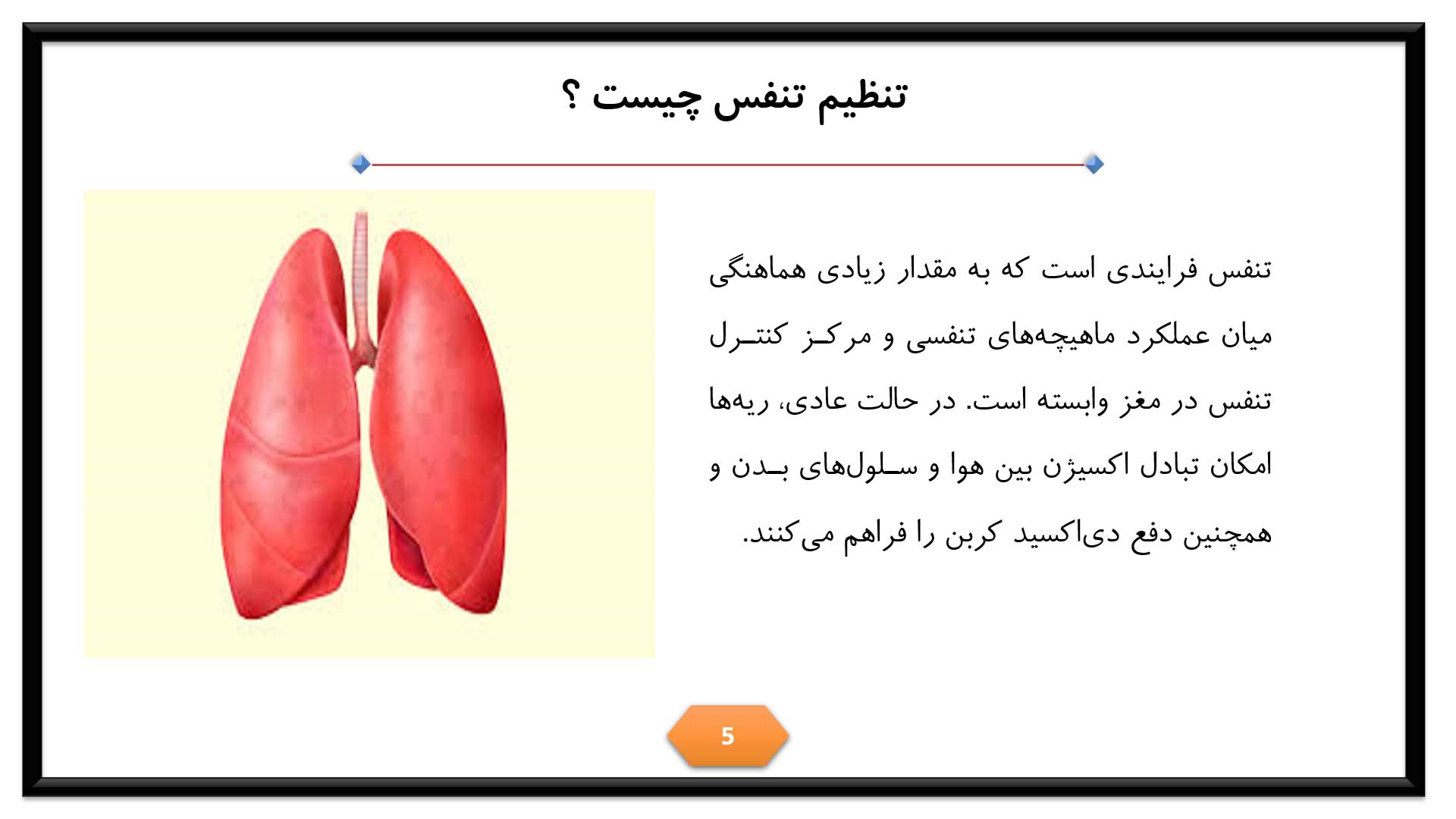 پاورپوینت در مورد تنظیم تنفس 